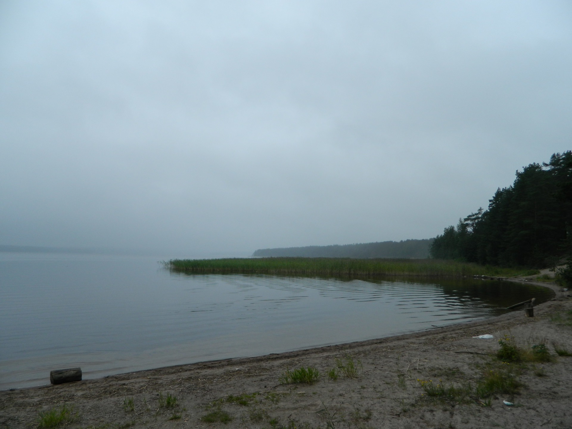 Непогода- не повод остановить работы по строительству пирса. Спешим поделиться свежими новостями - у нас уже готова первая сторона свайного поля ✅. Опережаем сроки строительства и спешим порадовать жителей нашего посёлка к летнему сезону 🙌🏻